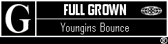 myspace layouts, myspace codes, glitter graphics