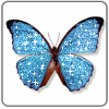 myspace layouts, myspace codes, glitter graphics