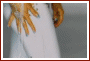 myspace layouts, myspace codes, glitter graphics