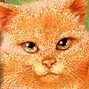 myspace layouts, myspace codes, glitter graphics