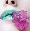 myspace layouts, myspace codes, glitter graphics