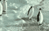 1839213hxrjyevzzn.gif