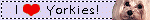 myspace layouts, myspace codes, glitter graphics