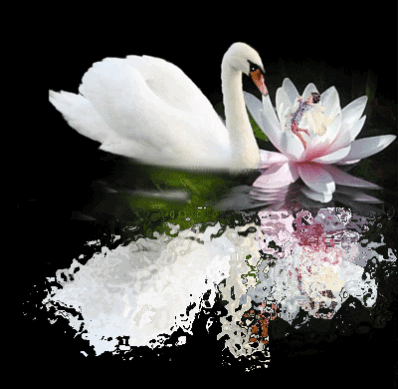 http://dl3.glitter-graphics.net/pub/1929/1929903mvr4gkff3r.gif