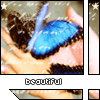 myspace layouts, myspace codes, glitter graphics