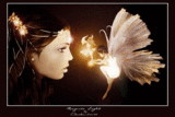 myspace layouts, myspace codes, glitter graphics