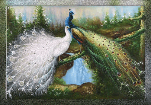 murder with peacocks by donna andrews