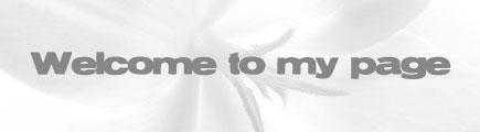 myspace layouts, myspace codes, glitter graphics