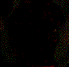 myspace layouts, myspace codes, glitter graphics