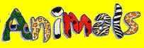 myspace layouts, myspace codes, glitter graphics
