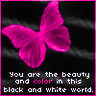 myspace layouts, myspace codes, glitter graphics