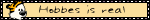 myspace layouts, myspace codes, glitter graphics