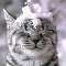 myspace layouts, myspace codes, glitter graphics