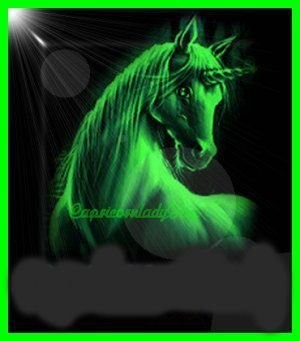 myspace layouts, myspace codes, glitter graphics
