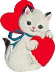 lower belly hematoma feline