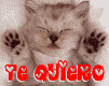 myspace layouts, myspace codes, glitter graphics