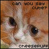 myspace layouts, myspace codes, glitter graphics