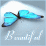 Butterfly Girl 15 Myspace Layout