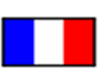 Bonjour,viva la France!