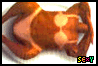 myspace layouts,  myspace codes,  glitter graphics
