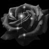 myspace layouts, myspace codes, glitter graphics