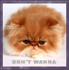 myspace layouts, myspace codes, glitter graphics