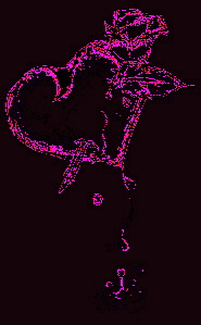 myspace layouts, myspace codes, glitter graphics