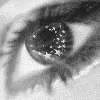 myspace layouts, myspace codes, glitter graphics