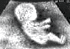 myspace layouts, myspace codes, glitter graphics